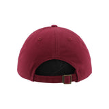 Scholarship Cardinal PuckerUp 3D CTN