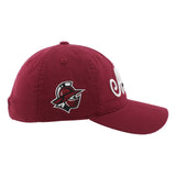Scholarship Cardinal PuckerUp 3D CTN