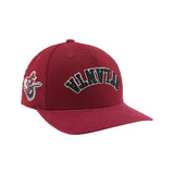 Zephyr Atlanta Gladiators Maroon Upside Down Snapback