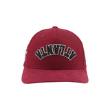 Zephyr Atlanta Gladiators Maroon Upside Down Snapback